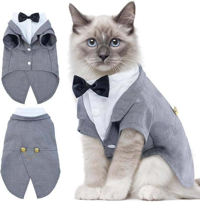 Trang phục tuxedo cho mèo